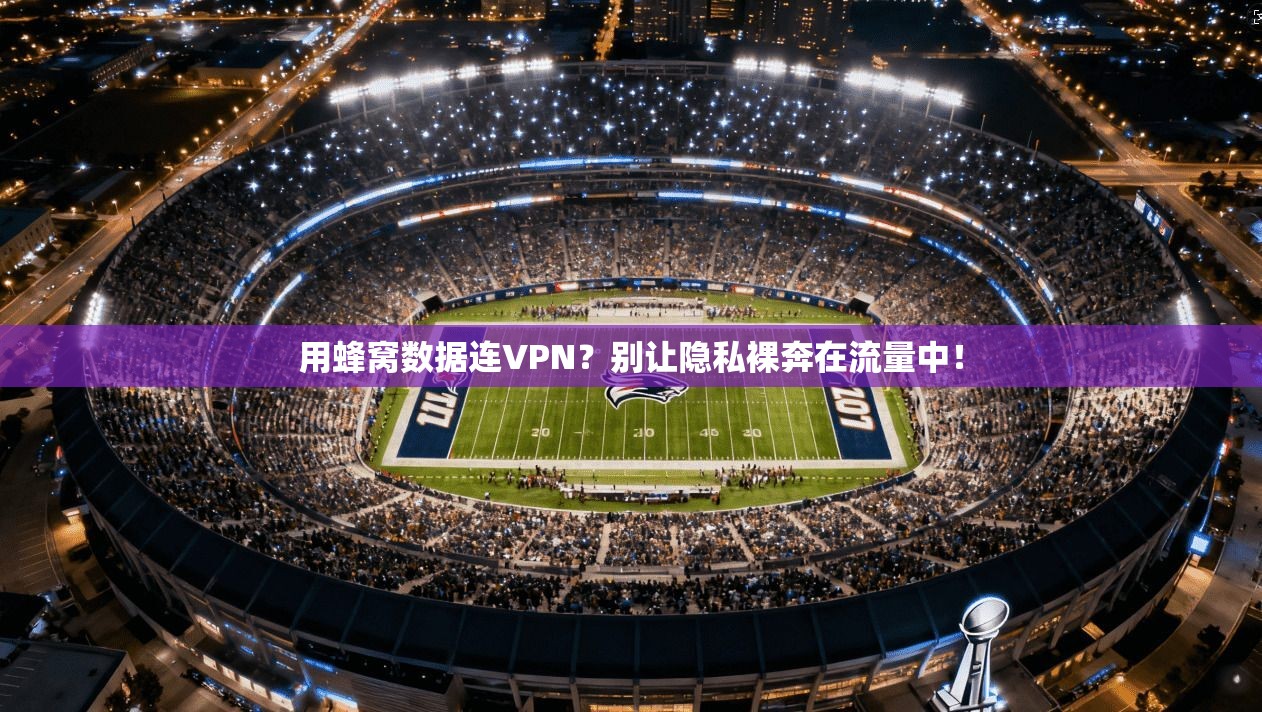 用蜂窝数据连VPN？别让隐私裸奔在流量中！