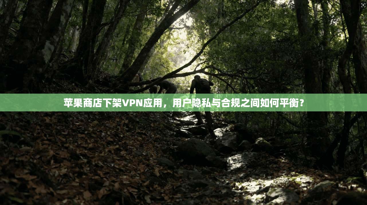 苹果商店下架VPN应用，用户隐私与合规之间如何平衡？