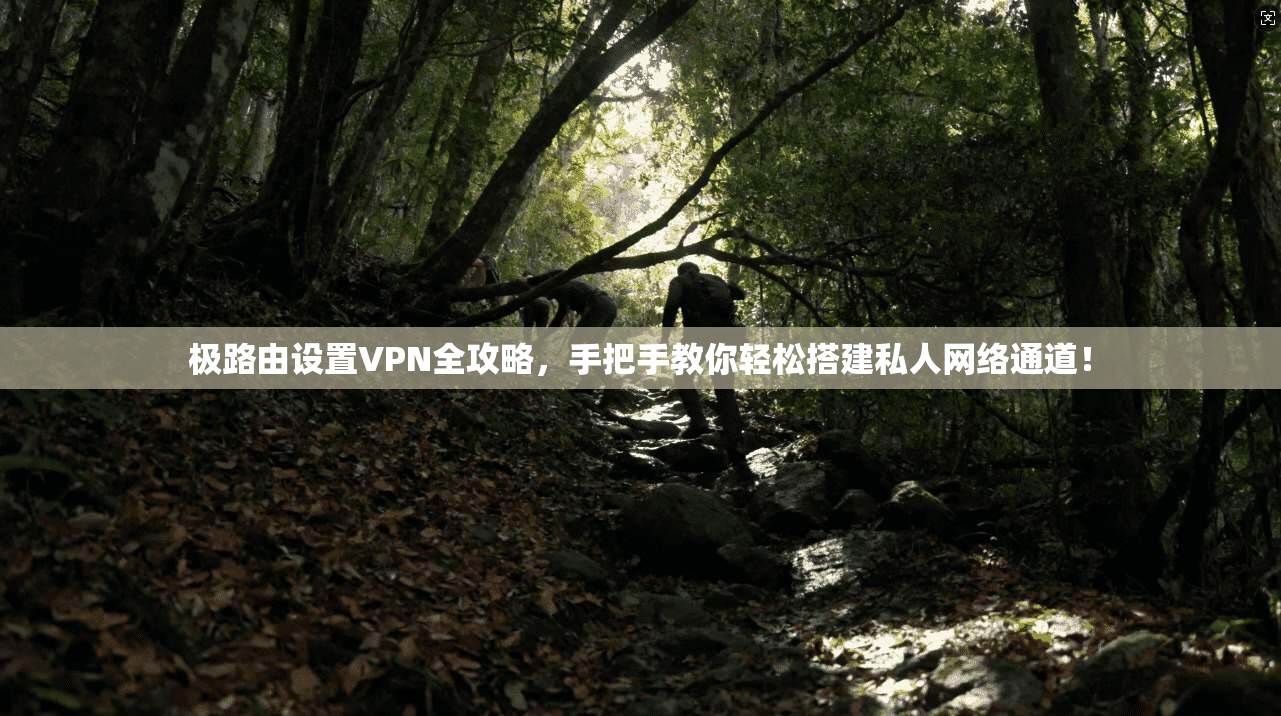 极路由设置VPN全攻略，手把手教你轻松搭建私人网络通道！