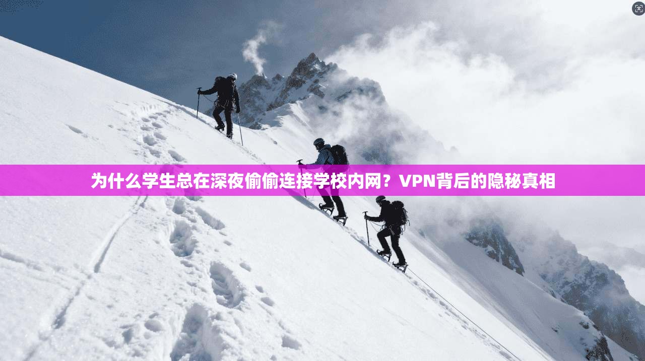为什么学生总在深夜偷偷连接学校内网？VPN背后的隐秘真相