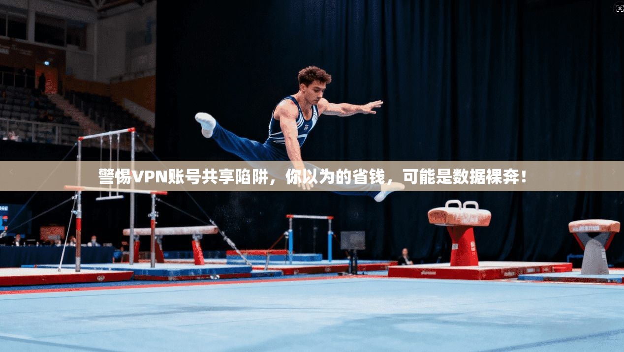 警惕VPN账号共享陷阱，你以为的省钱，可能是数据裸奔！