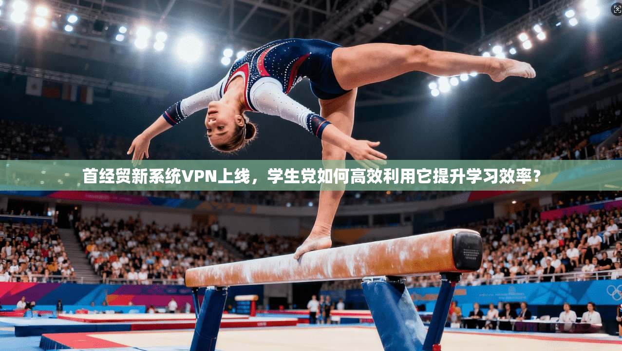 首经贸新系统VPN上线，学生党如何高效利用它提升学习效率？