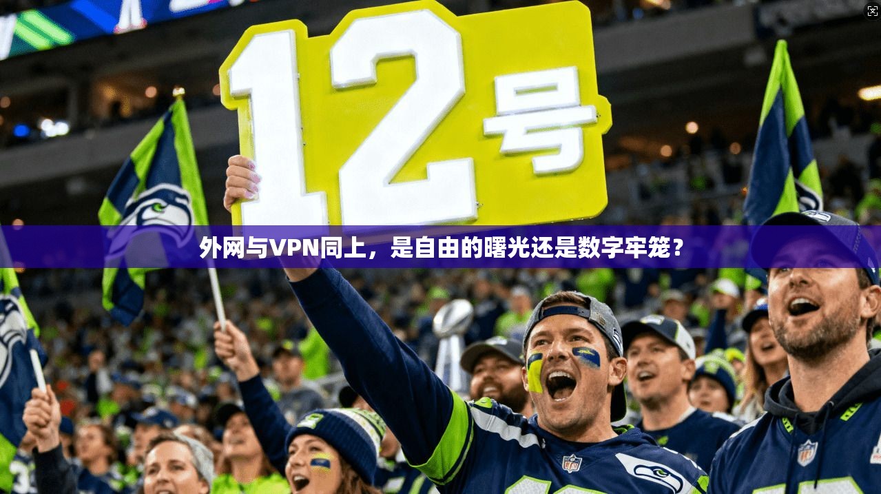 外网与VPN同上，是自由的曙光还是数字牢笼？
