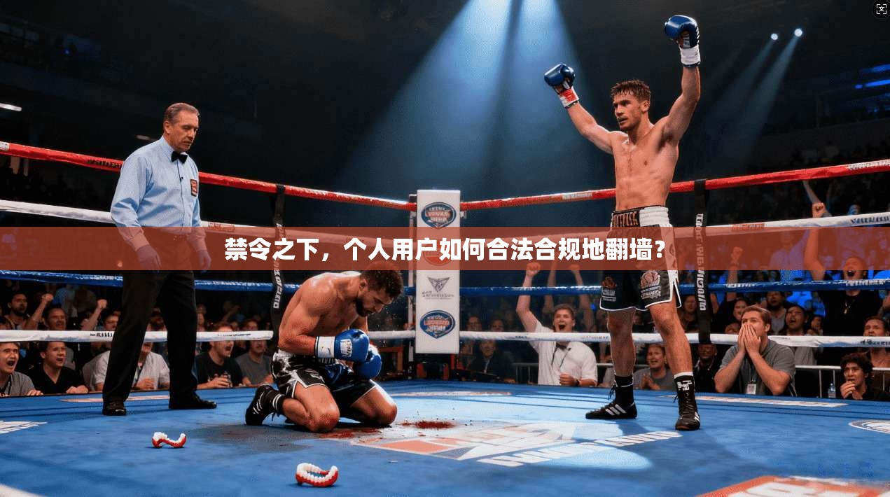 禁令之下，个人用户如何合法合规地翻墙？