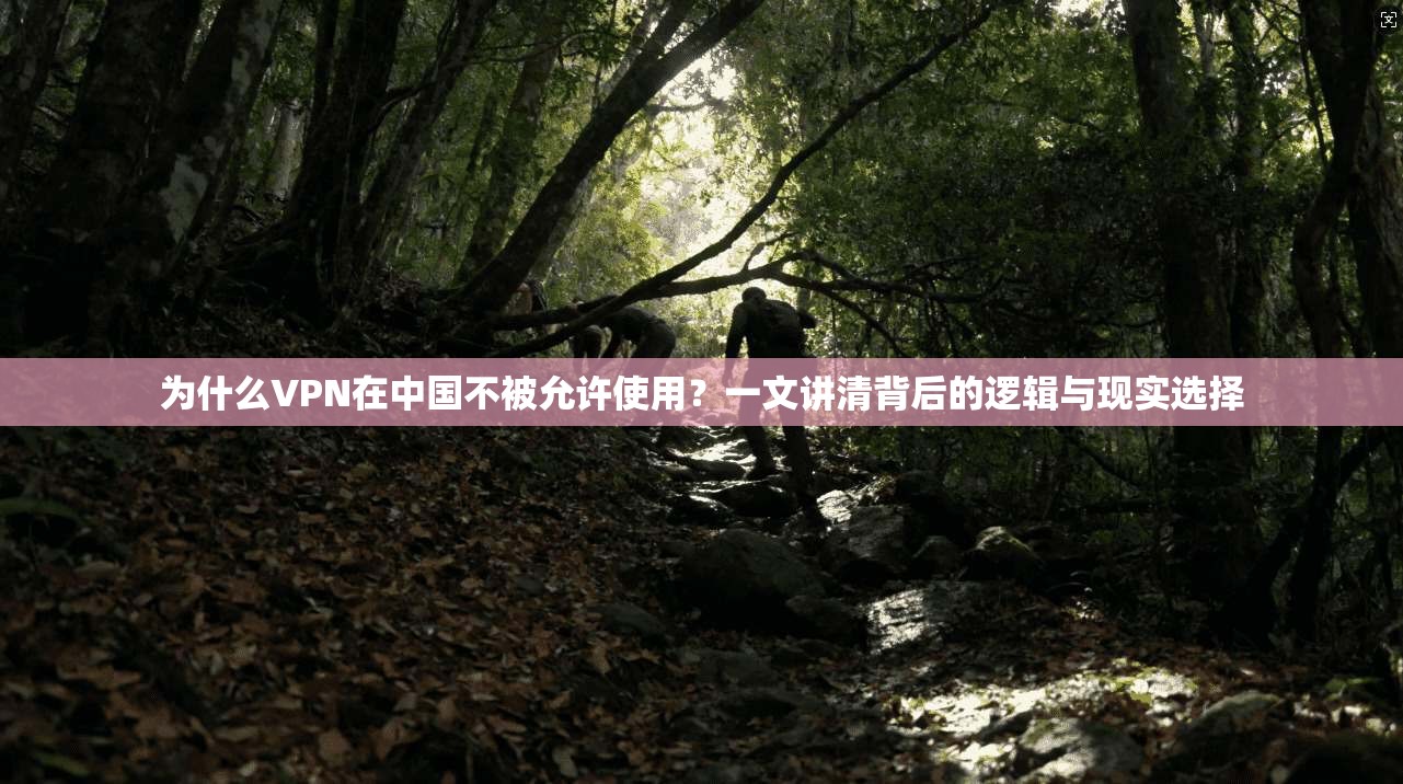 为什么VPN在中国不被允许使用？一文讲清背后的逻辑与现实选择