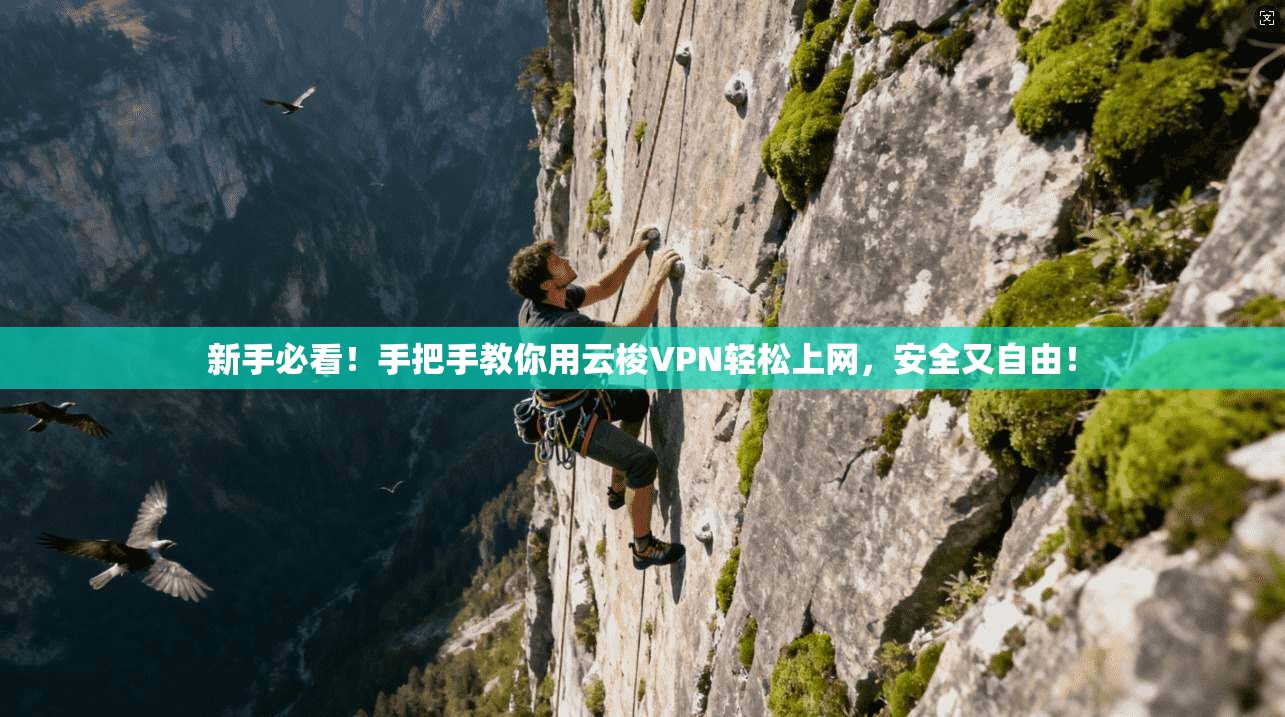 新手必看！手把手教你用云梭VPN轻松上网，安全又自由！