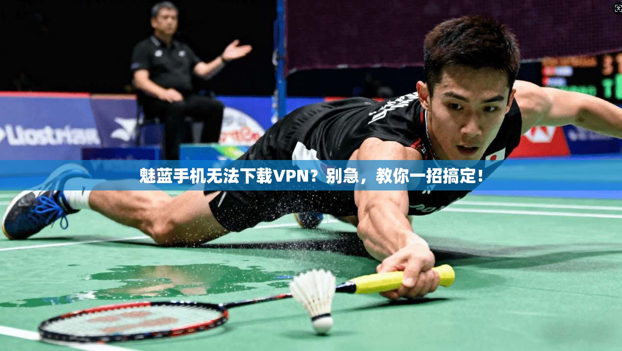 魅蓝手机无法下载VPN？别急，教你一招搞定！
