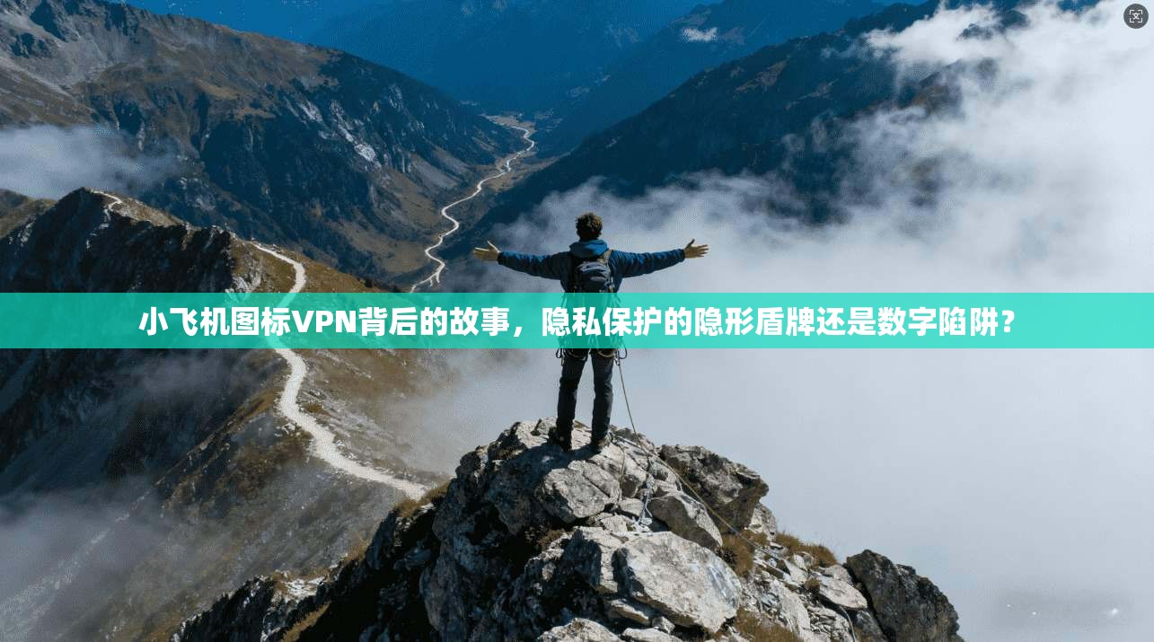 小飞机图标VPN背后的故事，隐私保护的隐形盾牌还是数字陷阱？
