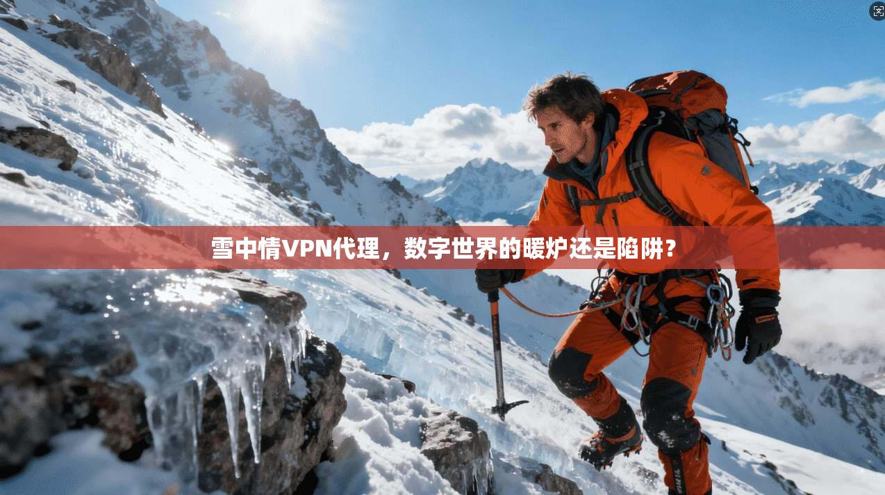 雪中情VPN代理，数字世界的暖炉还是陷阱？
