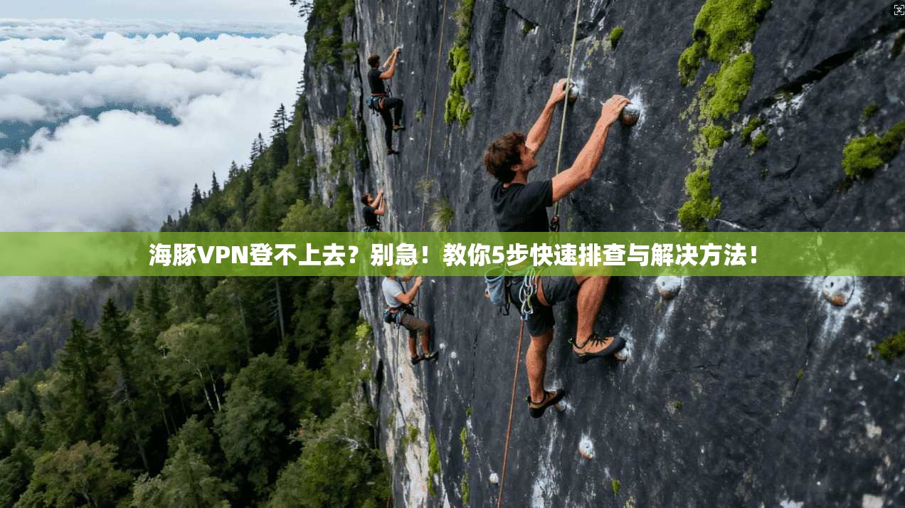 海豚VPN登不上去？别急！教你5步快速排查与解决方法！