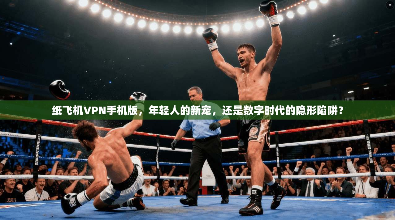 纸飞机VPN手机版，年轻人的新宠，还是数字时代的隐形陷阱？