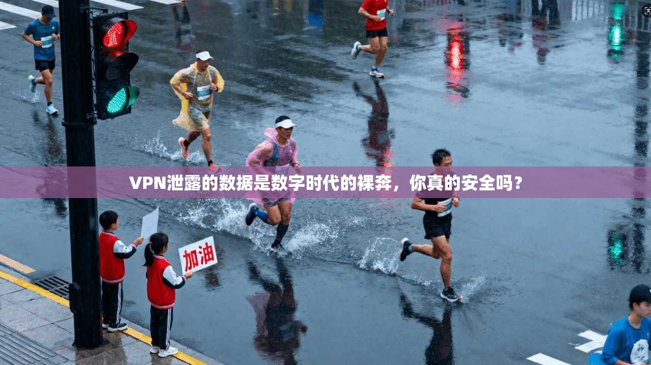 VPN泄露的数据是数字时代的裸奔，你真的安全吗？