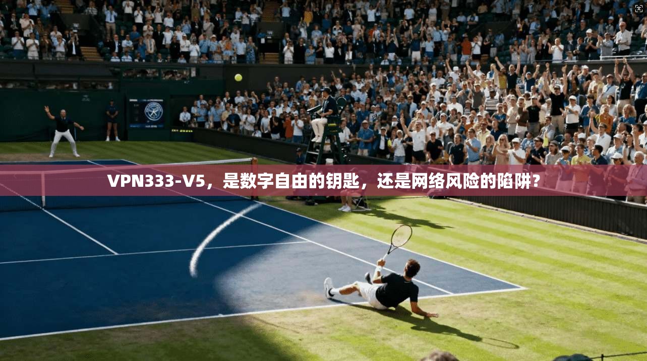 VPN333-V5，是数字自由的钥匙，还是网络风险的陷阱？