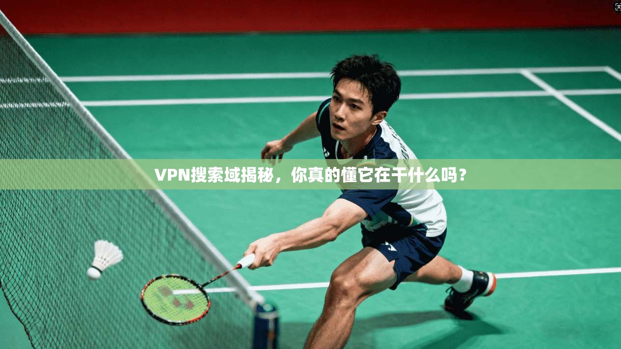 VPN搜索域揭秘，你真的懂它在干什么吗？