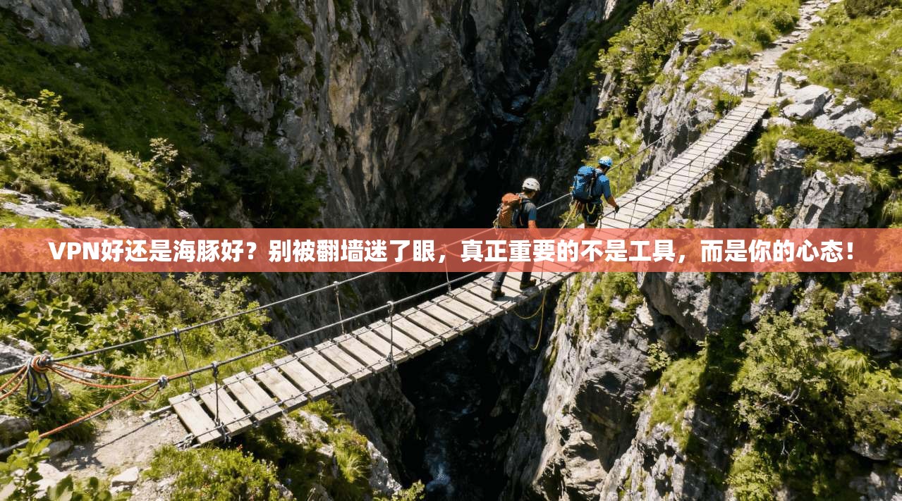 VPN好还是海豚好？别被翻墙迷了眼，真正重要的不是工具，而是你的心态！