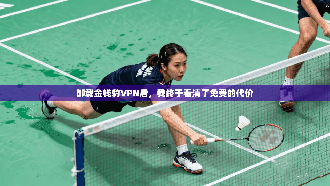 卸载金钱豹VPN后，我终于看清了免费的代价