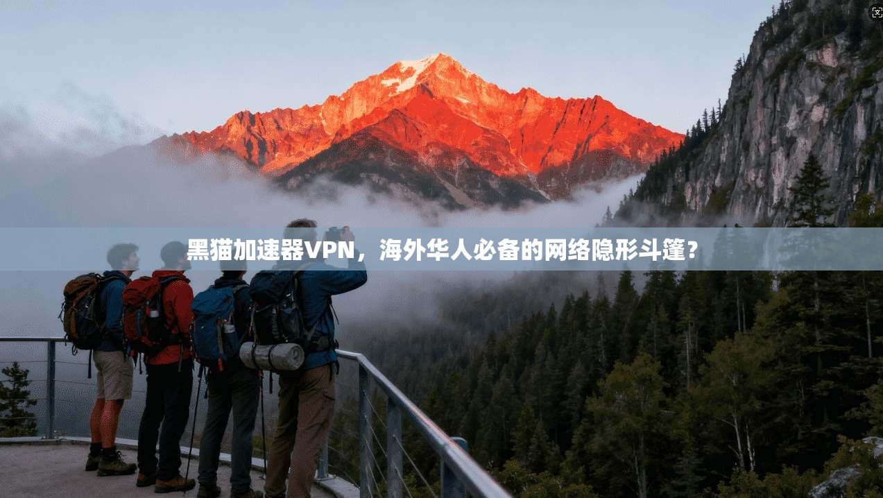 黑猫加速器VPN，海外华人必备的网络隐形斗篷？