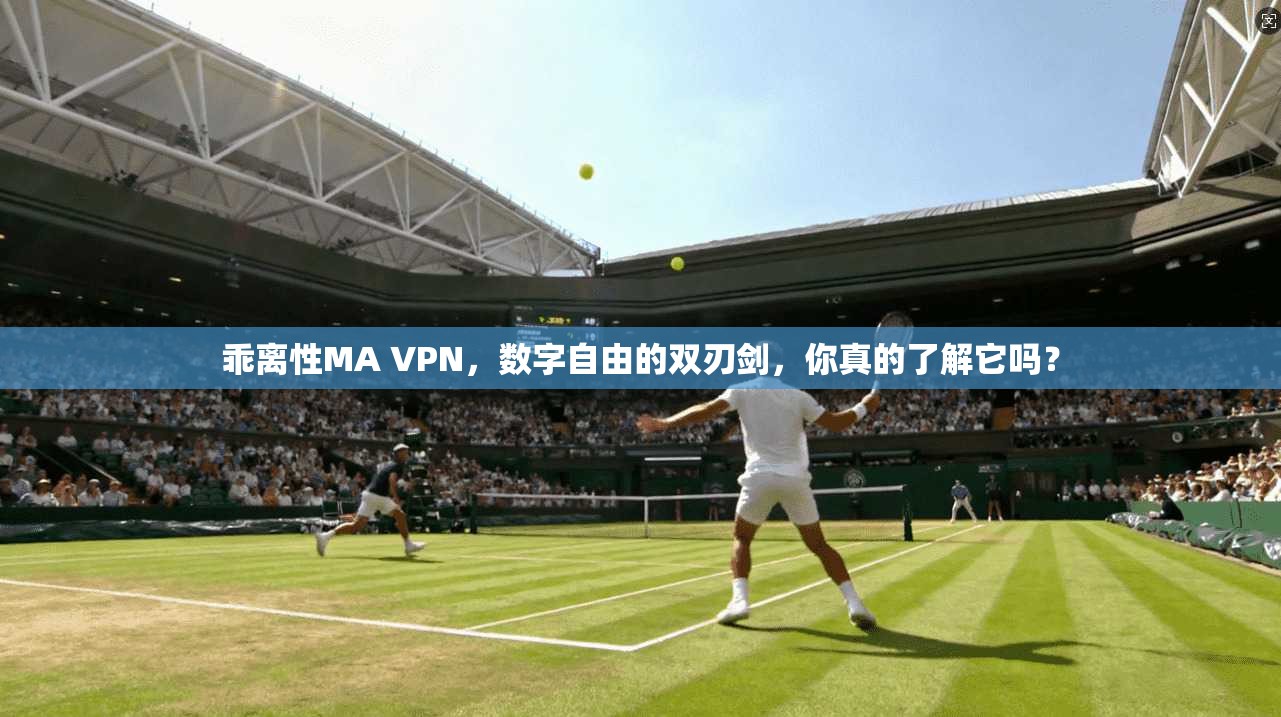 乖离性MA VPN，数字自由的双刃剑，你真的了解它吗？