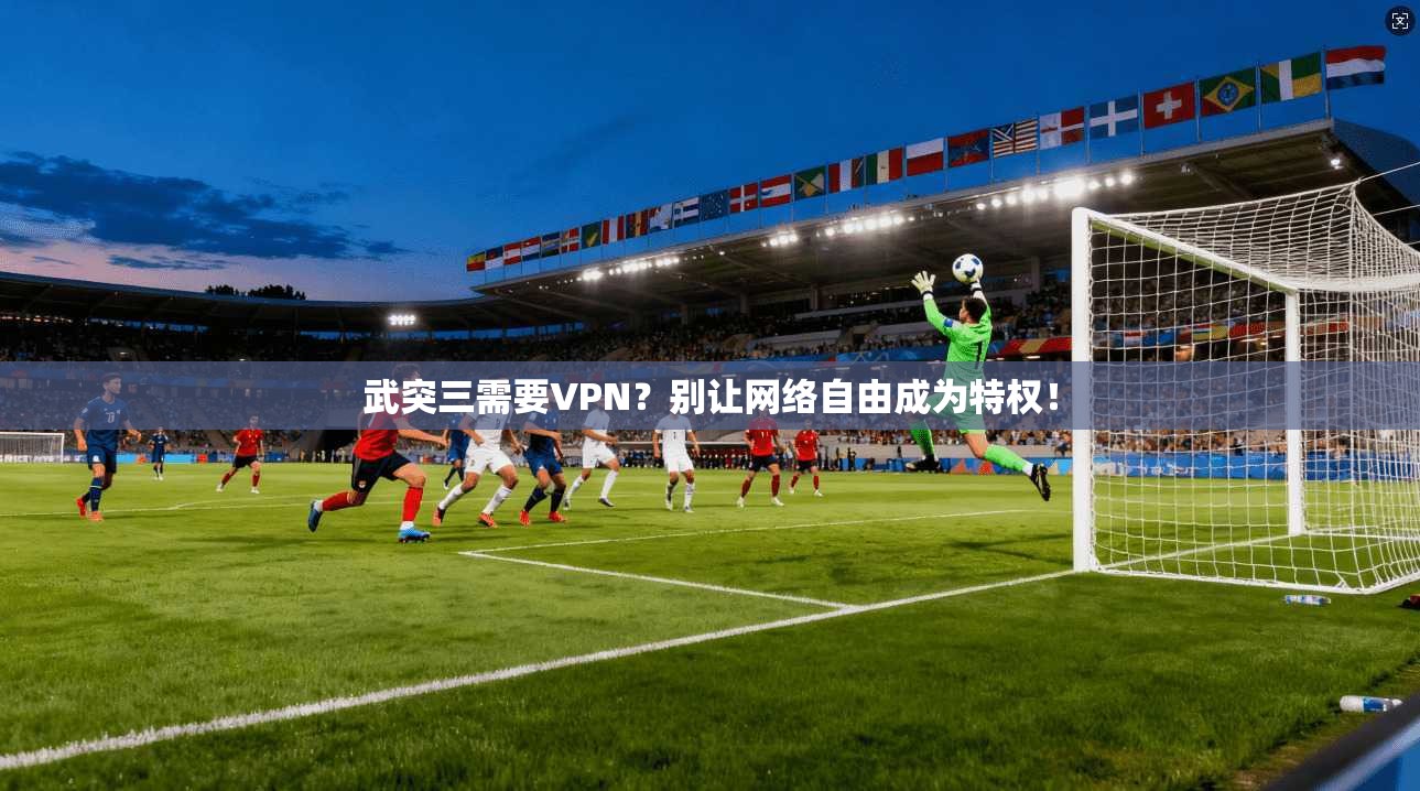 武突三需要VPN？别让网络自由成为特权！
