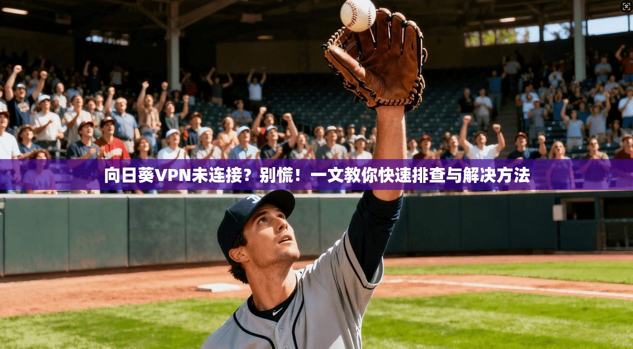 向日葵VPN未连接？别慌！一文教你快速排查与解决方法