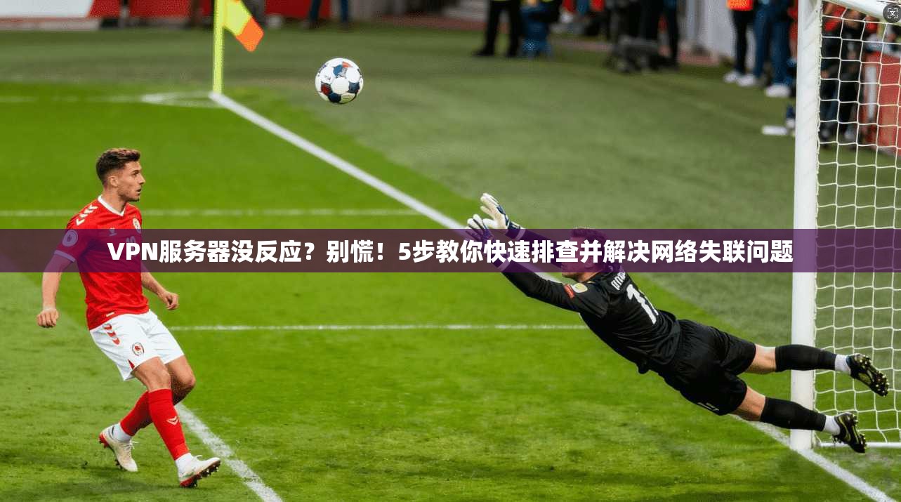 VPN服务器没反应？别慌！5步教你快速排查并解决网络失联问题