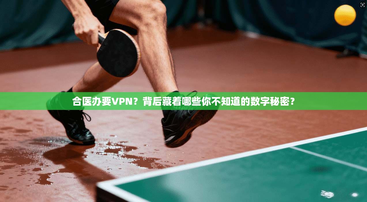 合医办要VPN？背后藏着哪些你不知道的数字秘密？
