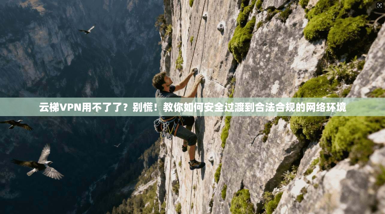 云梯VPN用不了了？别慌！教你如何安全过渡到合法合规的网络环境