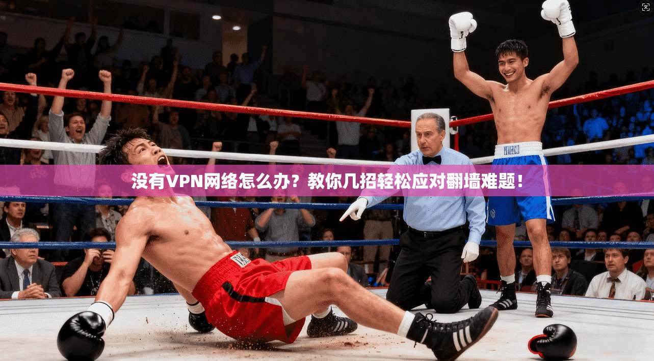 没有VPN网络怎么办？教你几招轻松应对翻墙难题！