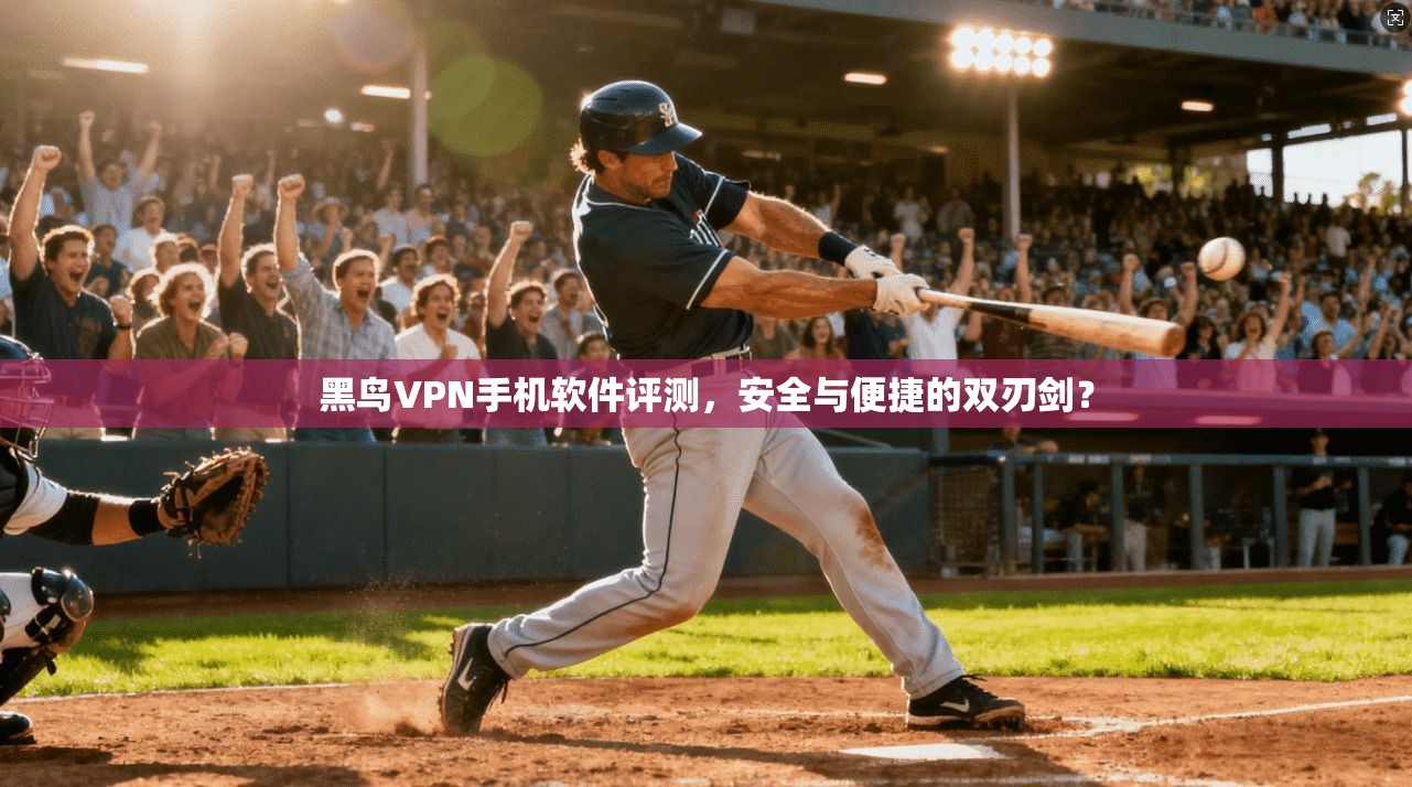 黑鸟VPN手机软件评测，安全与便捷的双刃剑？