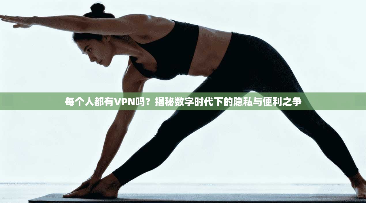 每个人都有VPN吗？揭秘数字时代下的隐私与便利之争