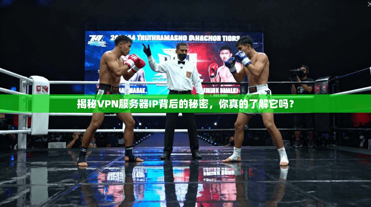 揭秘VPN服务器IP背后的秘密，你真的了解它吗？