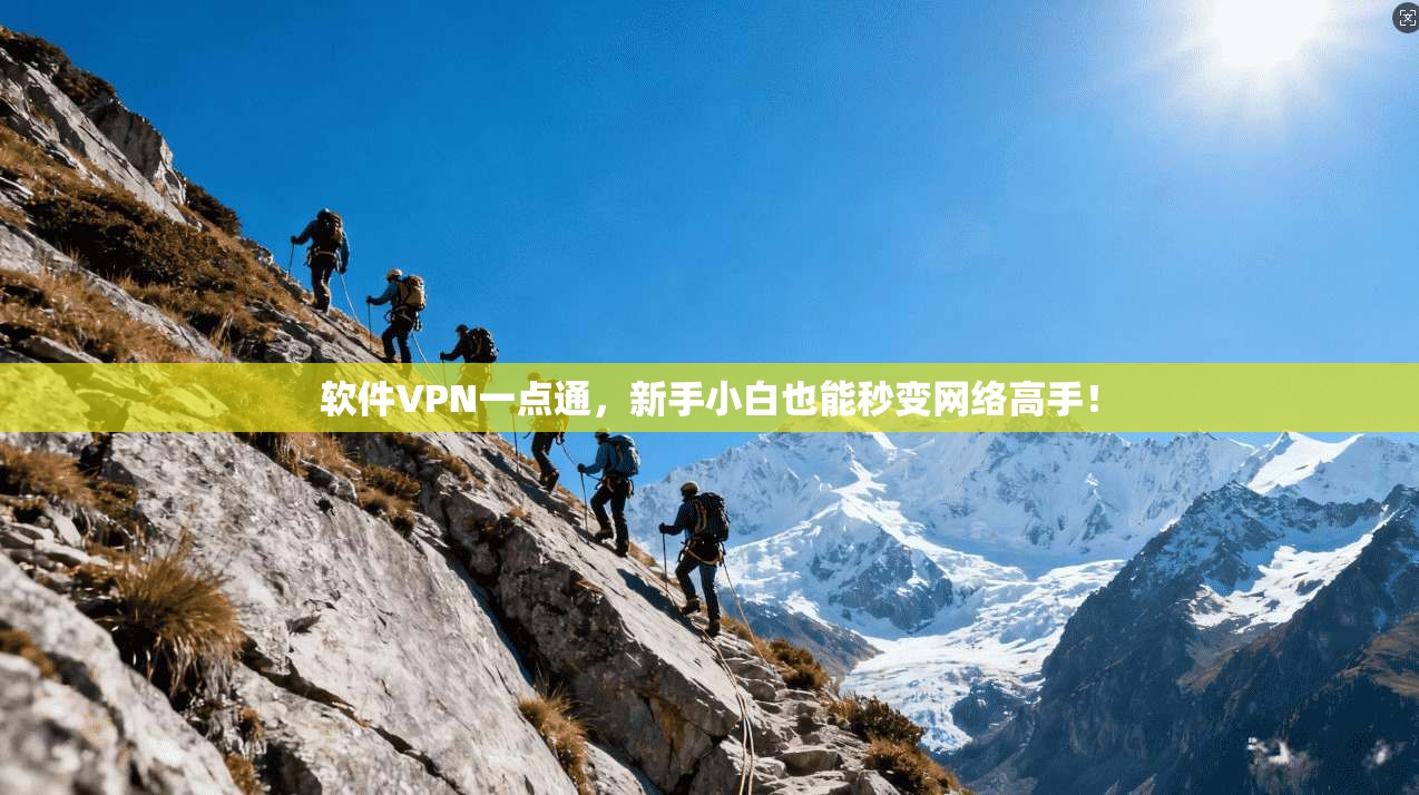软件VPN一点通，新手小白也能秒变网络高手！
