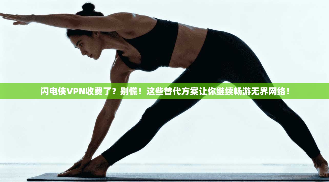 闪电侠VPN收费了？别慌！这些替代方案让你继续畅游无界网络！