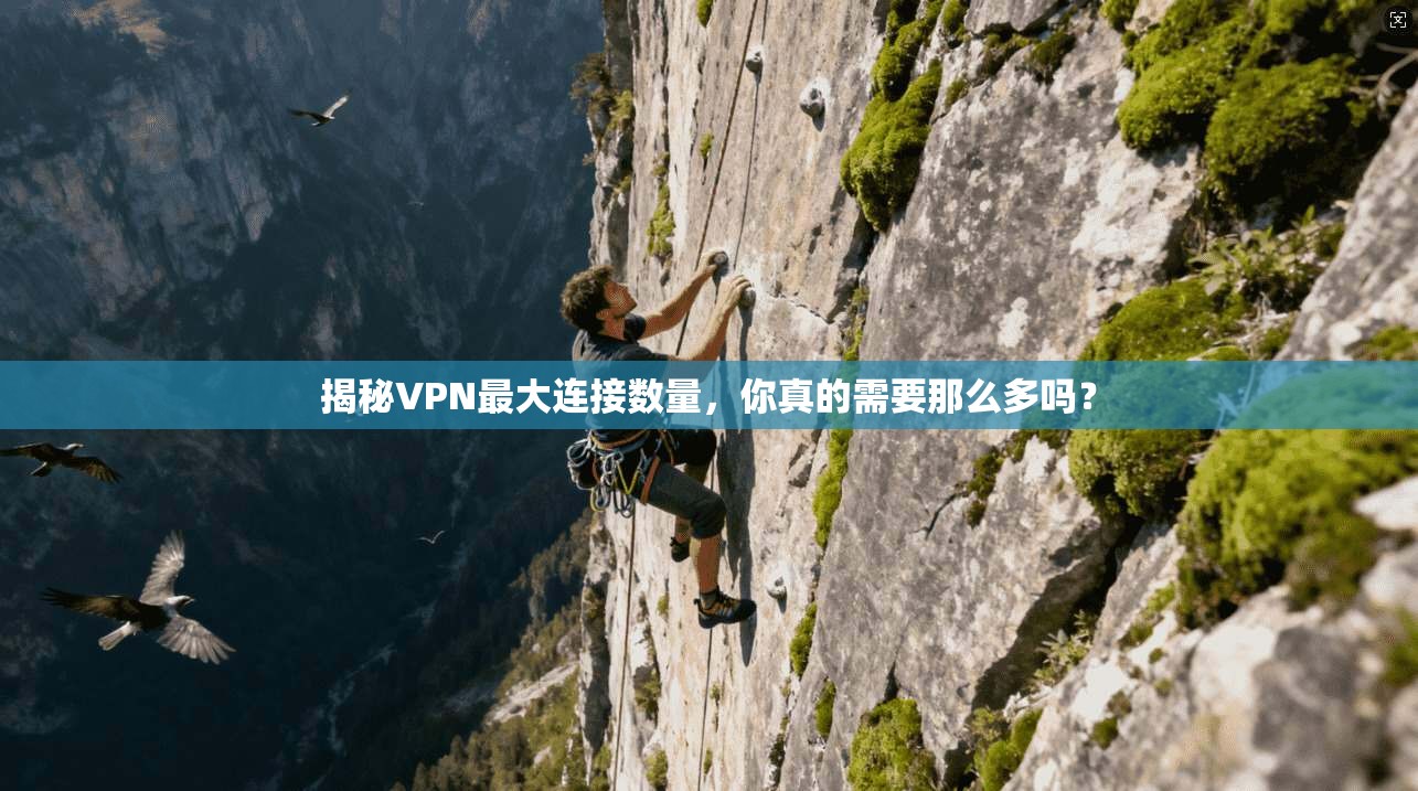揭秘VPN最大连接数量，你真的需要那么多吗？