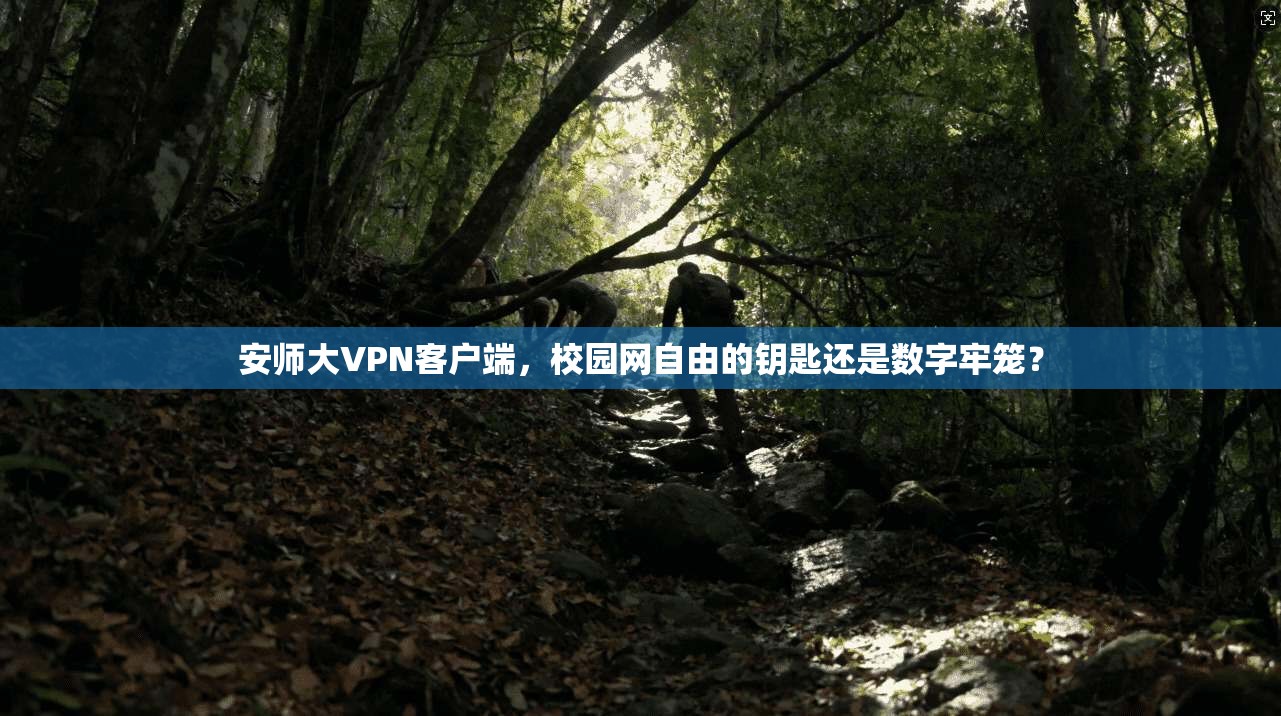 安师大VPN客户端，校园网自由的钥匙还是数字牢笼？