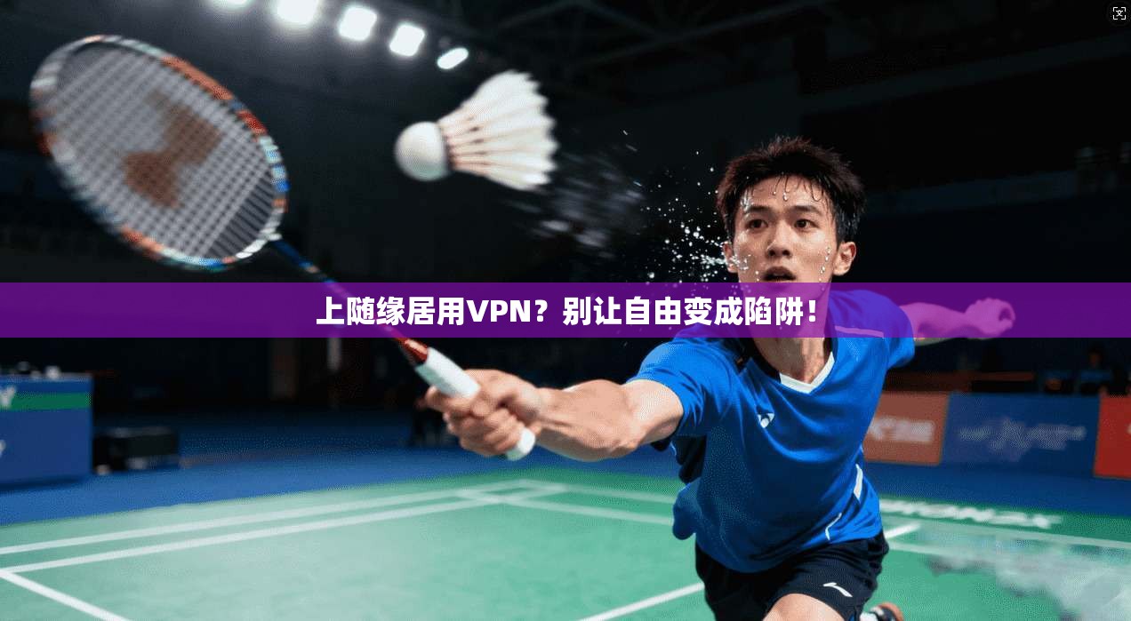 上随缘居用VPN？别让自由变成陷阱！