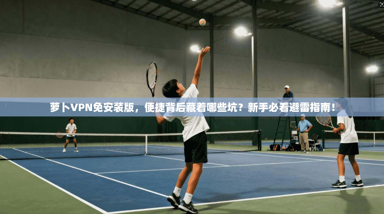 萝卜VPN免安装版，便捷背后藏着哪些坑？新手必看避雷指南！