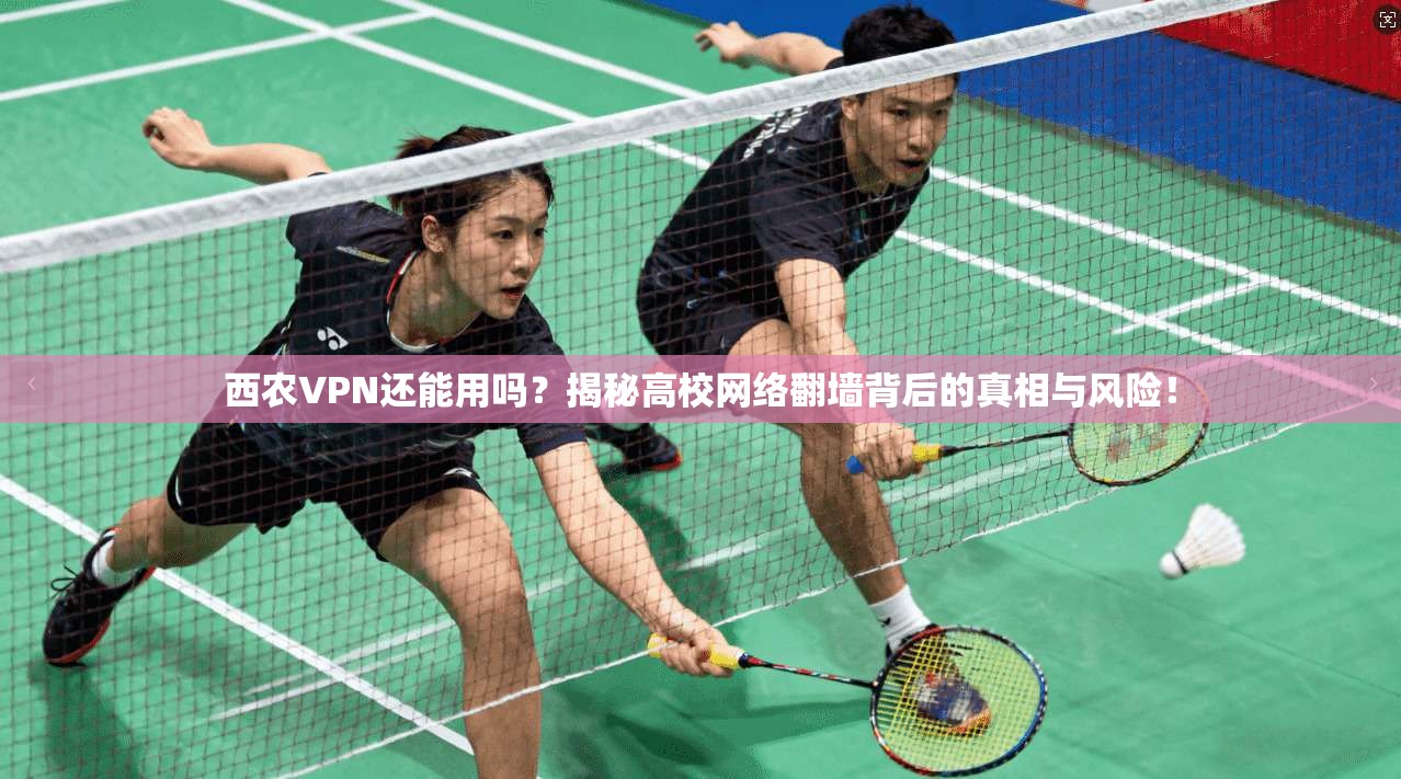 西农VPN还能用吗？揭秘高校网络翻墙背后的真相与风险！