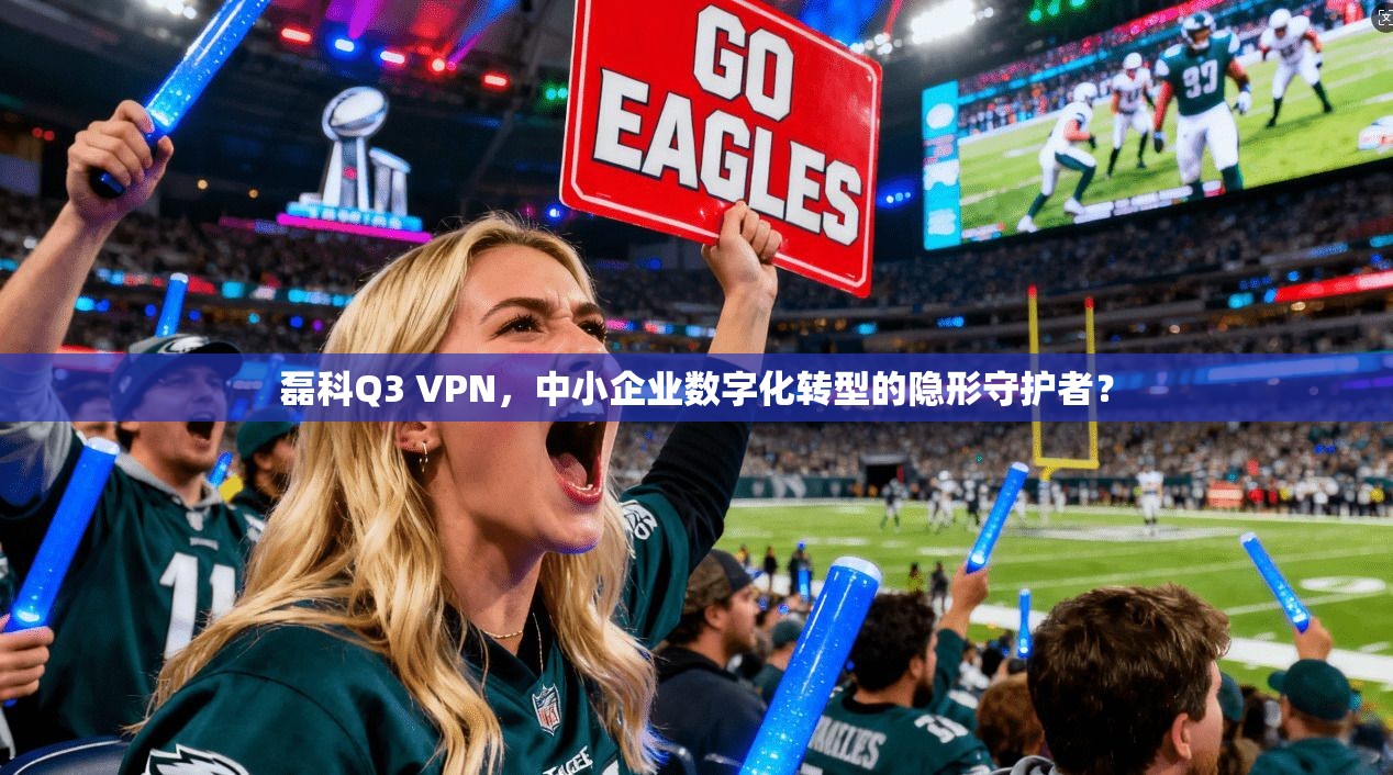 磊科Q3 VPN，中小企业数字化转型的隐形守护者？