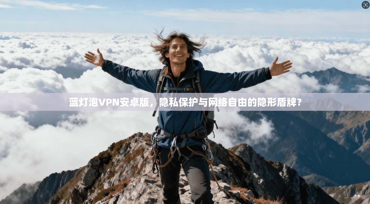蓝灯泡VPN安卓版，隐私保护与网络自由的隐形盾牌？