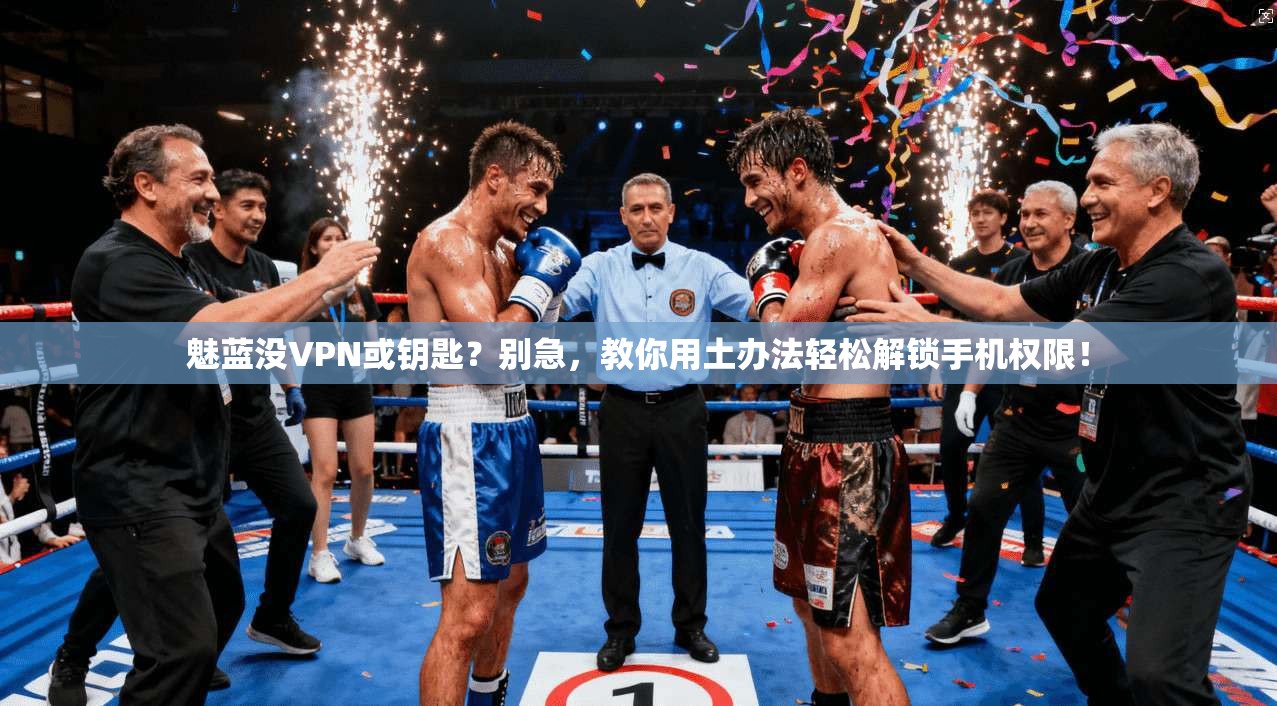 魅蓝没VPN或钥匙？别急，教你用土办法轻松解锁手机权限！