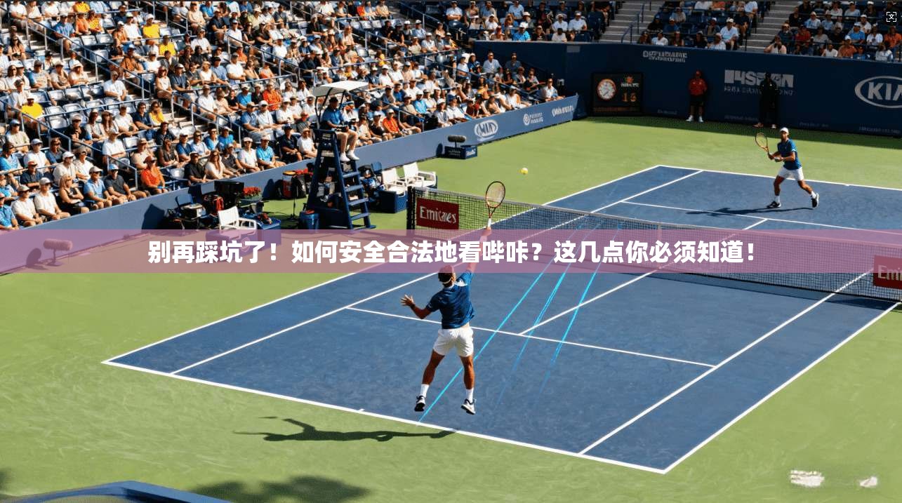 别再踩坑了！如何安全合法地看哔咔？这几点你必须知道！