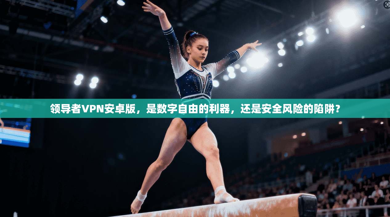 领导者VPN安卓版，是数字自由的利器，还是安全风险的陷阱？