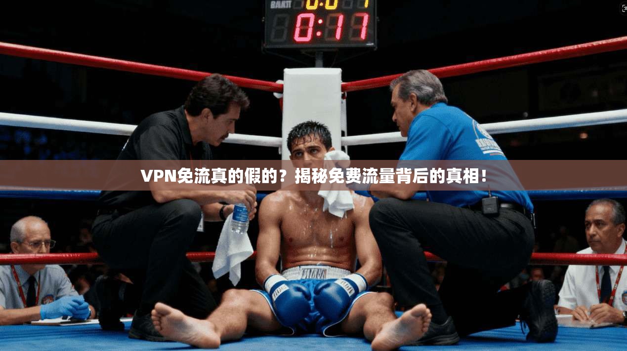 VPN免流真的假的？揭秘免费流量背后的真相！