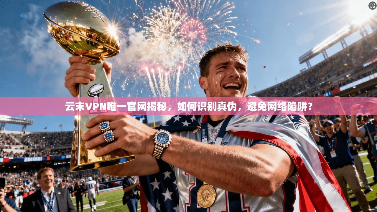 云末VPN唯一官网揭秘，如何识别真伪，避免网络陷阱？