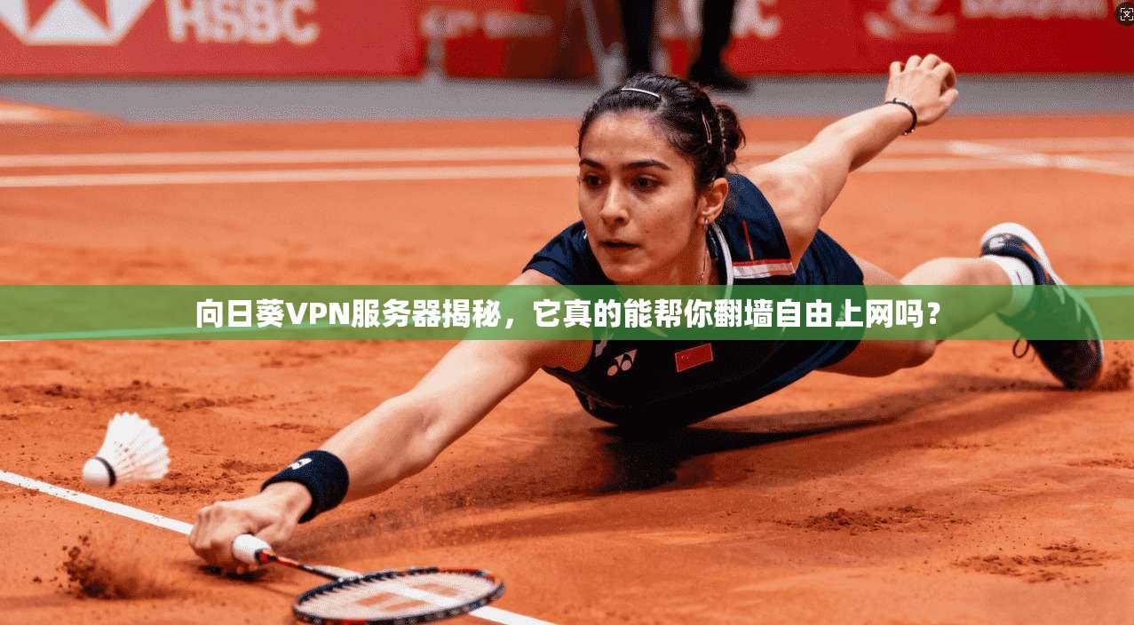 向日葵VPN服务器揭秘，它真的能帮你翻墙自由上网吗？