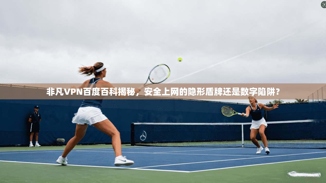 非凡VPN百度百科揭秘，安全上网的隐形盾牌还是数字陷阱？