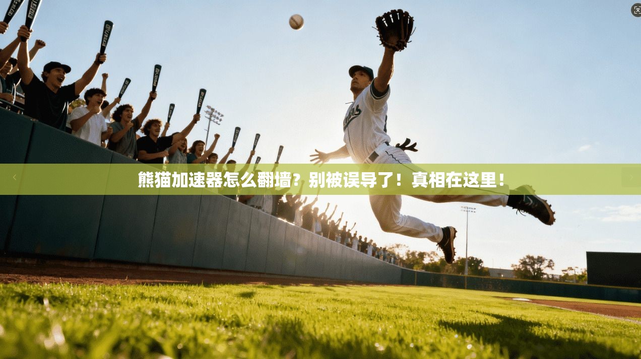 熊猫加速器怎么翻墙？别被误导了！真相在这里！