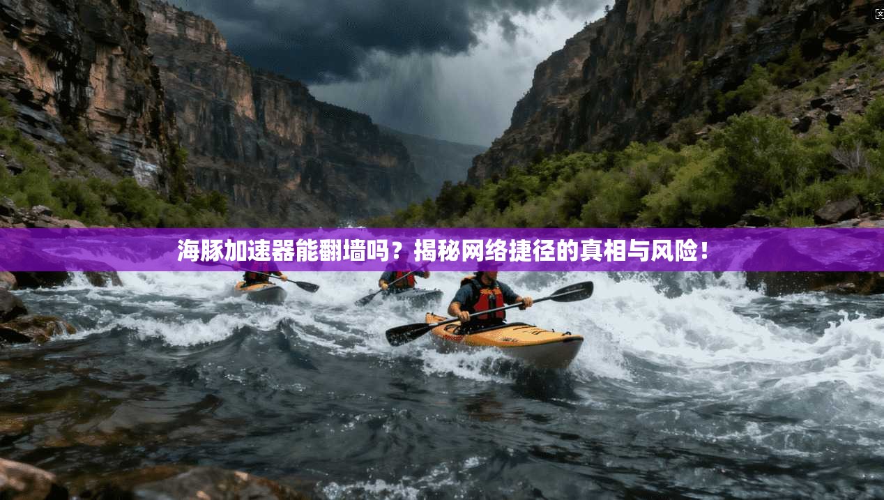 海豚加速器能翻墙吗？揭秘网络捷径的真相与风险！