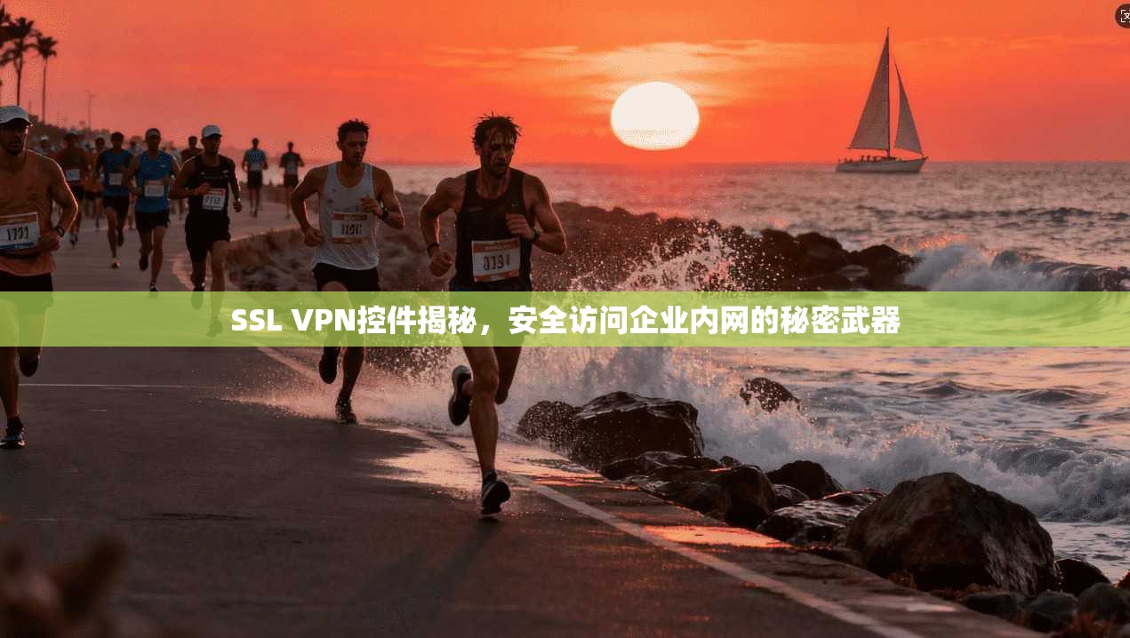 SSL VPN控件揭秘，安全访问企业内网的秘密武器